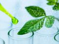 How Biotechnology Could Transform the Future of Sustainable Shipping