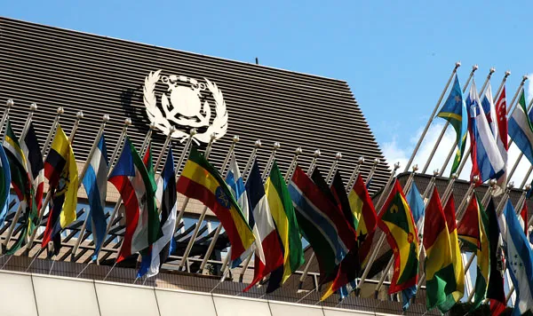 IMO-1.jpg