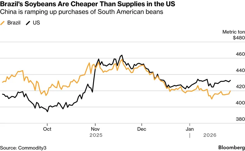 Soybean-trade-2.jpg