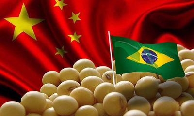 China Shifts Soybean Buying Back to Brazil After Meeting U.S. Trade Target
