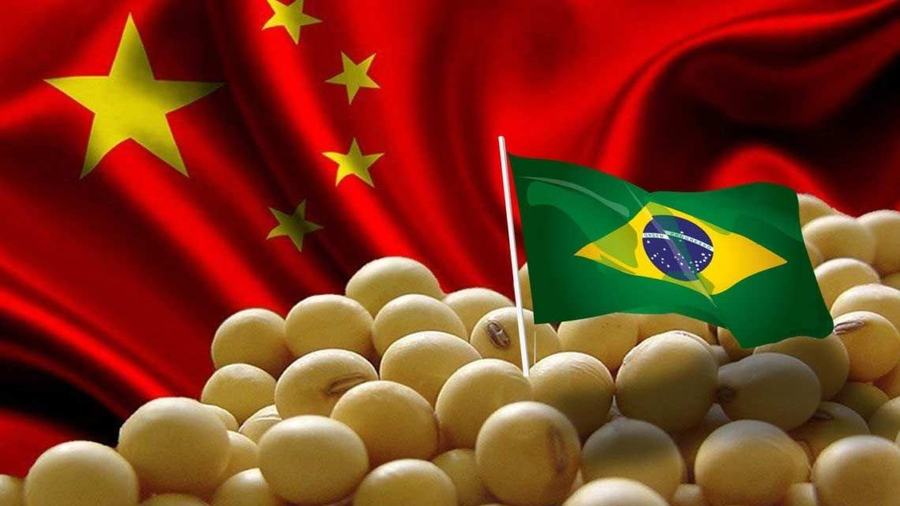 China Shifts Soybean Buying Back to Brazil After Meeting U.S. Trade Target