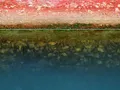 Biofouling Rules at IMO Could Reshape Ship Maintenance — BIMCO Seeks Industry Input