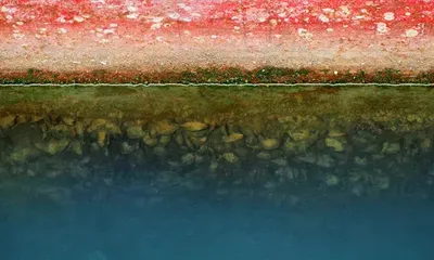 Biofouling Rules at IMO Could Reshape Ship Maintenance — BIMCO Seeks Industry Input