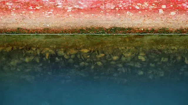Biofouling Rules at IMO Could Reshape Ship Maintenance — BIMCO Seeks Industry Input