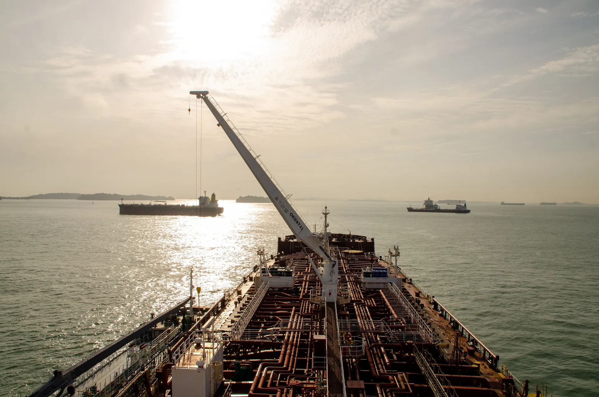 Biofuel Bunker Prices Diverge as Rotterdam Sales Surge and Alternative Fuel Demand Grows